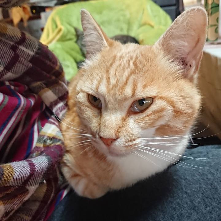 1f0d0125 24b6 41bb 8bc3 1fd93ee80312 1587934094768