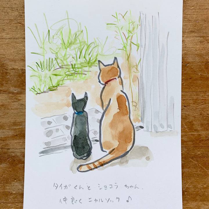 1f0d1a26 0b0a 406a b13e e4d44337261a 1598323680212