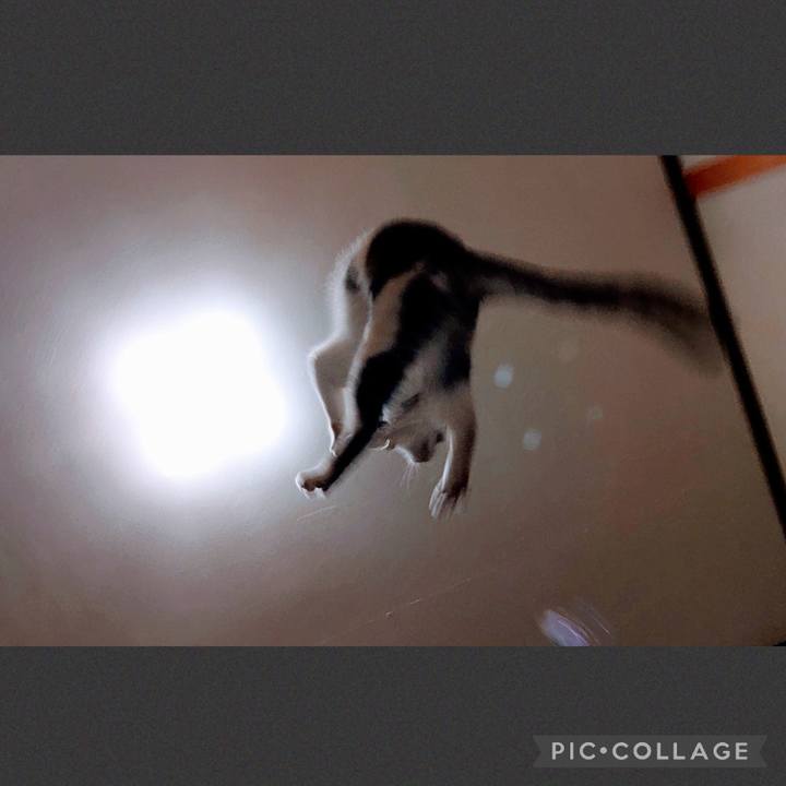 1f0d1a5b 3037 4bf7 b172 5853580a8c47 1652966263445