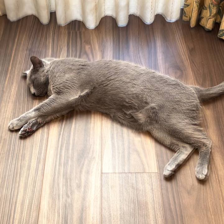 1f0d36cd f293 43ba 97e6 fb92b07342ab 1738709486888