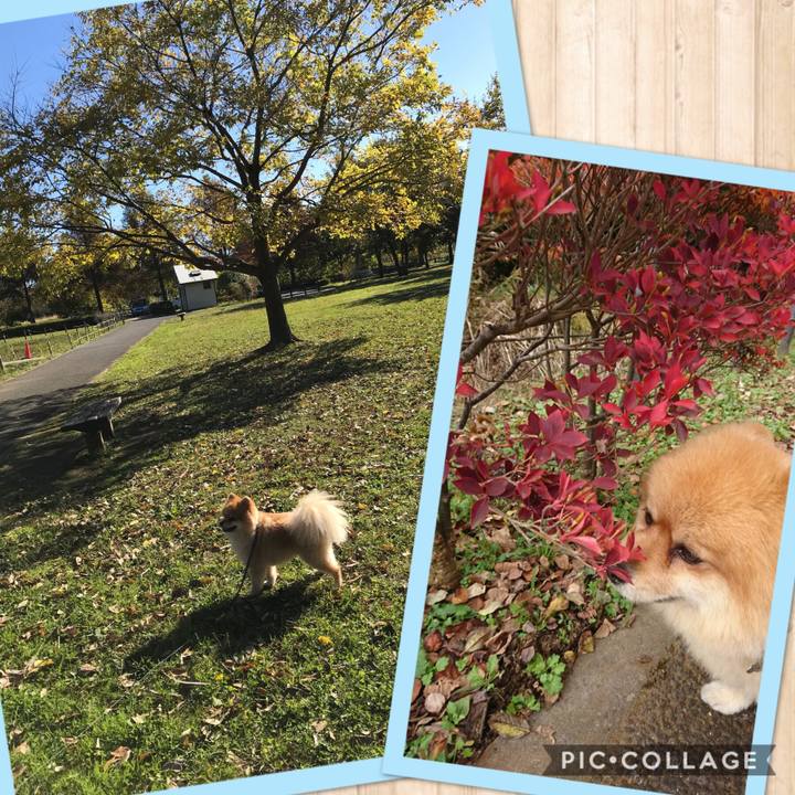 1f0d37df c05a 40cd 9858 5b0b50db2214 1510452886658