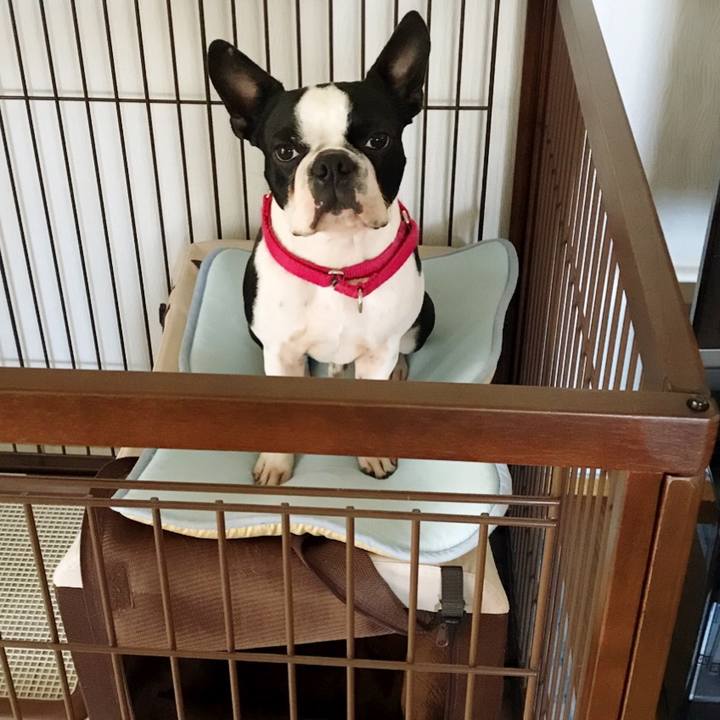 1f0d389b 9f87 46a4 ba09 4339c66dc05f 1515832082261