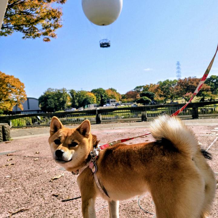 1f0d4360 6bc5 4a4e 9164 df91dd55b72b 1763344529052