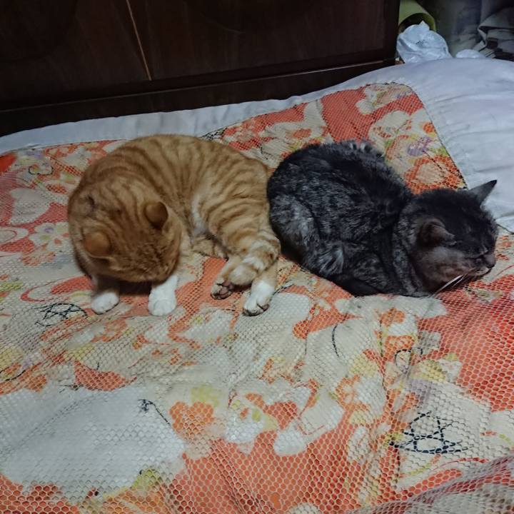 1f0d6263 9824 4564 bcce 046992681e03 1577362403472