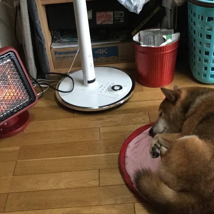 1f0d6b06 fb8c 48dc 85c5 14e14cf2d4ae 1600648350524