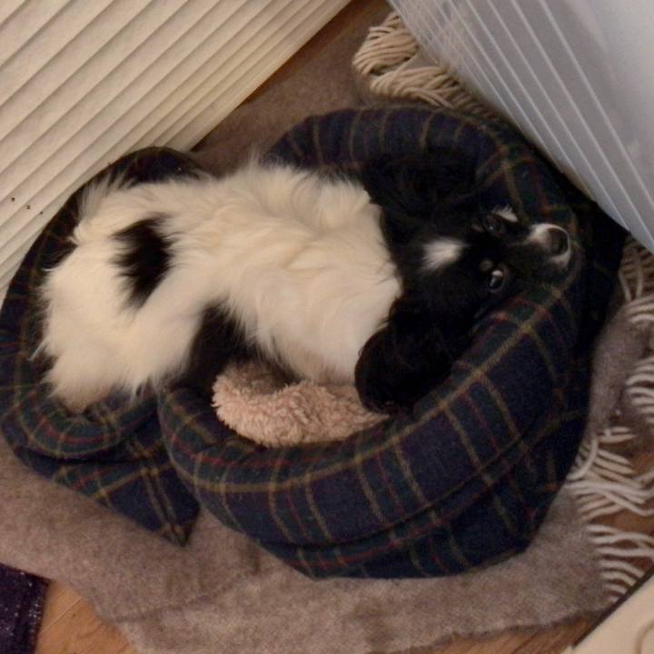 1f0db14c 2f5e 43b0 83e3 3d15c2498192 1512561099498