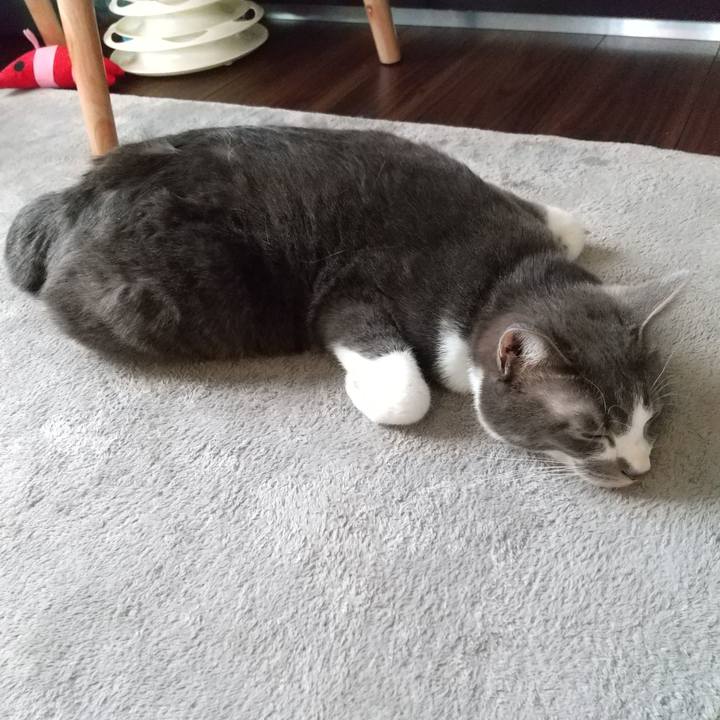 1f0dc114 7b8f 48d1 afba d113fbe5980d 1615516936505