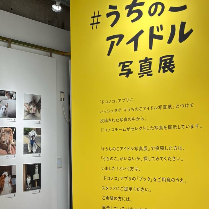 1f0dcb1d 7ac1 4f0f 921d 341438f42909 1761375812528