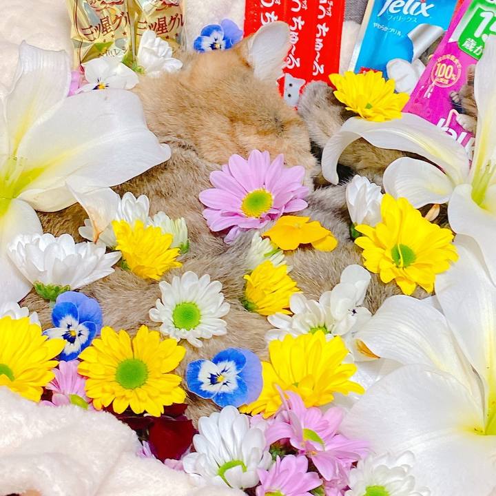 1f0e002a 7ae0 414e 8213 0fe294702c50 1642930515946