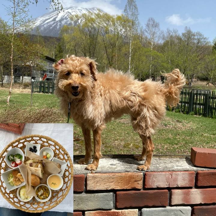 1f0e0893 b00b 4020 bf20 5ffdf09aedc2 1620477348787