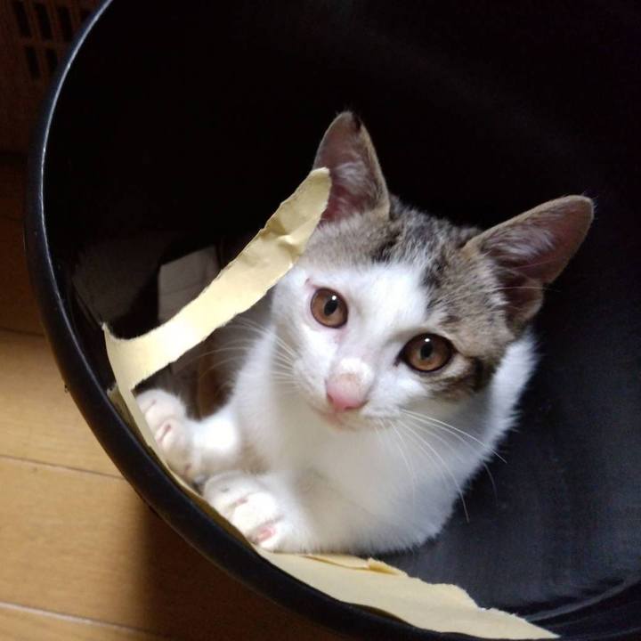 1f0e1818 df0d 4c09 860d bcb07109c4b2 1636031132665