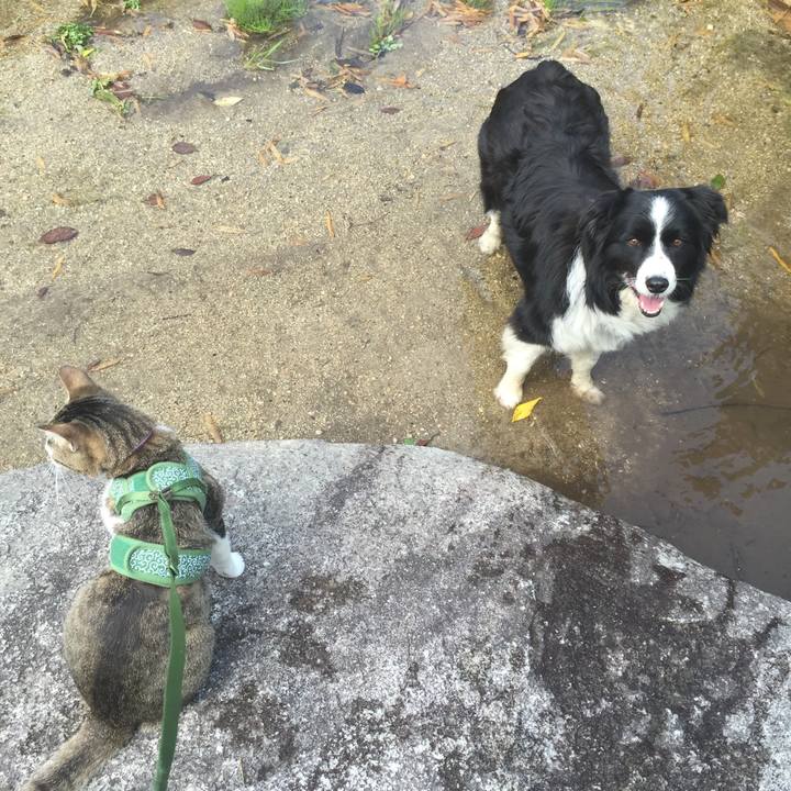 1f0e2bf2 a643 4784 8c12 1951c62f41bb 1526292346873