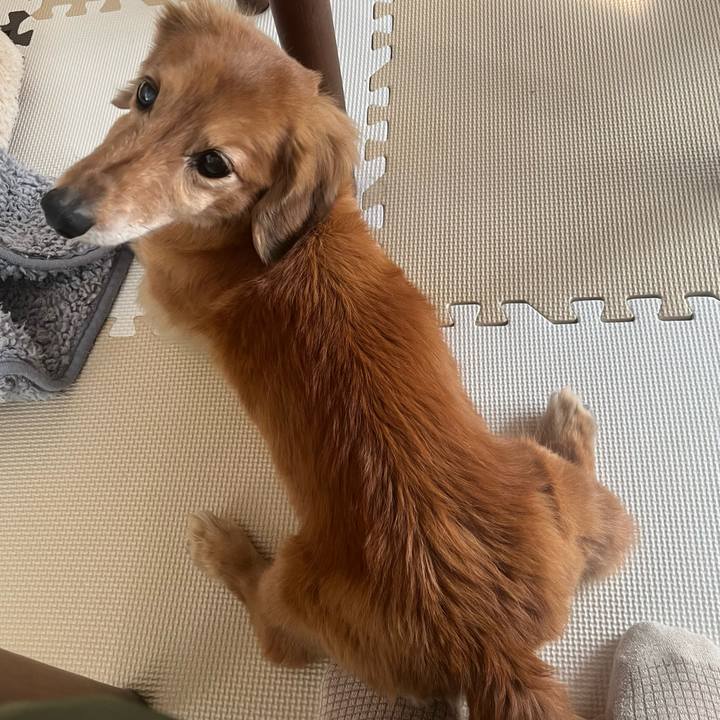 1f0e4103 b13a 406a 8ec4 8cc0eae02ec1 1644056088543