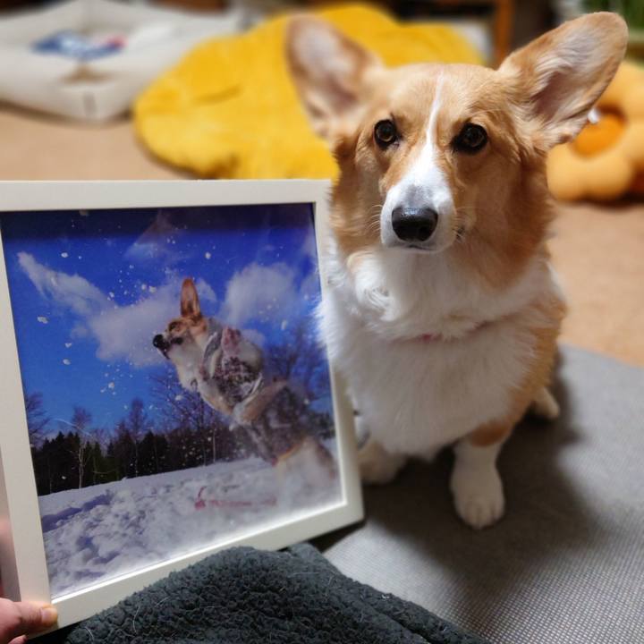 1f0e6ffd 9237 4795 9ca5 911e0c920202 1768654592614