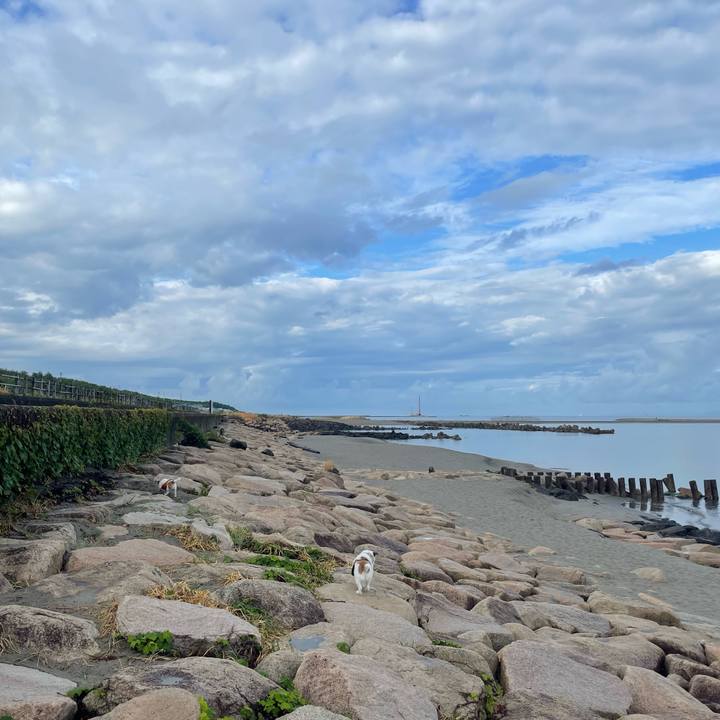 1f0e8a58 2ad2 4f32 b07b 21801b4a1d2d 1694561108772