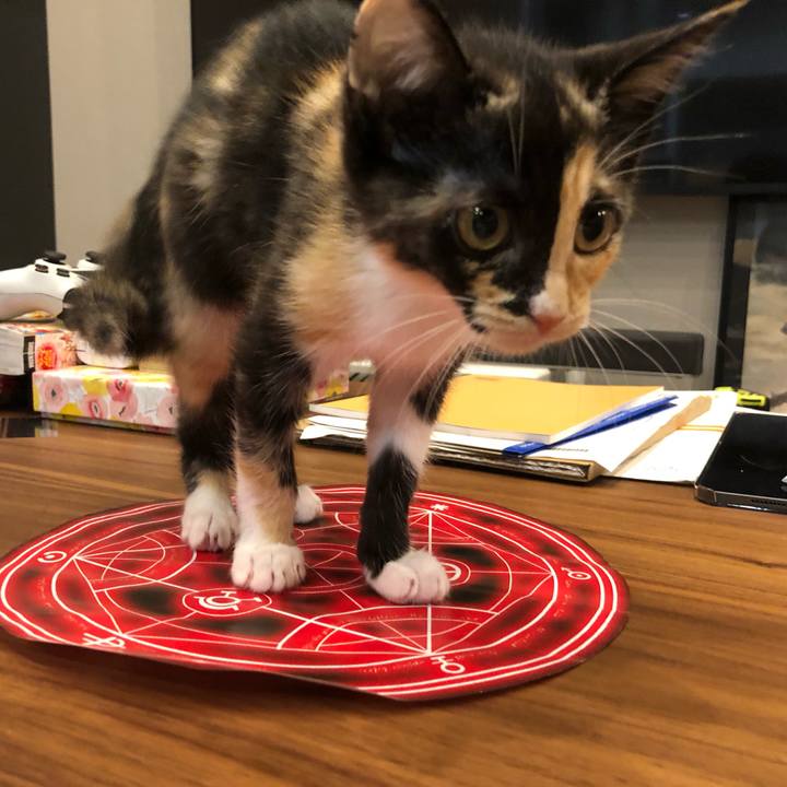 1f0ec250 3a9a 4e67 9167 3ed98dac882a 1626173560652