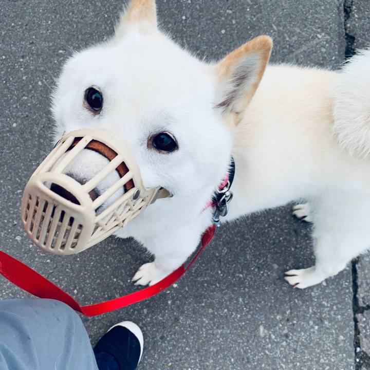 1f0f08a2 1b13 4633 9c2a 35d923080b38 1563482135629