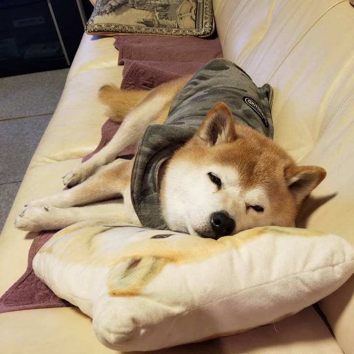 1f0f5d43 7bc2 47d8 be5e 8287549c4dd8 1647258759460