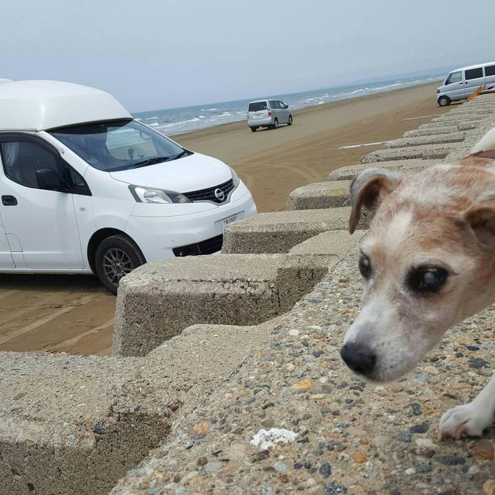 1f0f741c 892c 4957 98f6 92d91bd8a72b 1533008200262