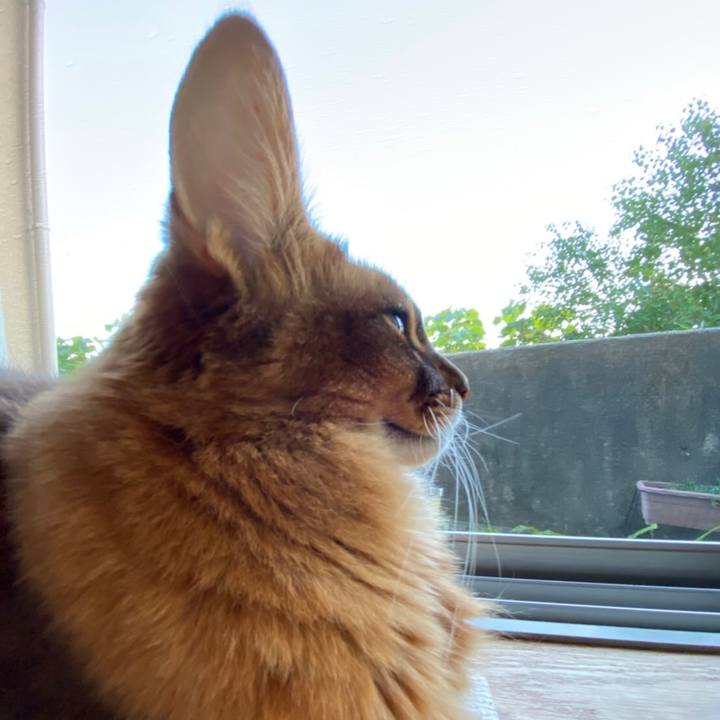 1f0f9275 ccf8 4190 9036 77c046947405 1635407763939