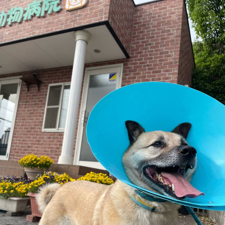 1f0fab51 f800 4ee6 9403 f0a6e5c0af0a 1682077089996