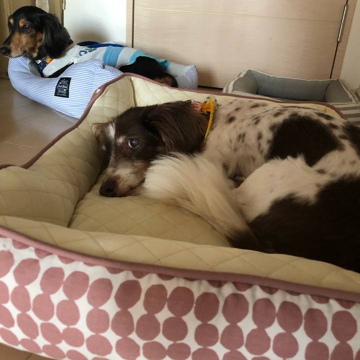 1f0fabc0 dd01 4345 808b e1ccda5e57dd 1565444535532