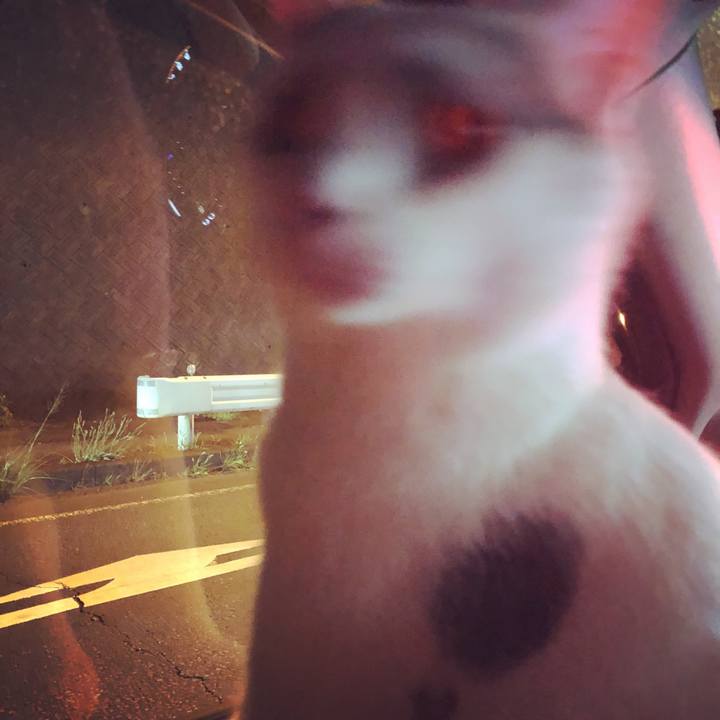 1f0fd4d8 0235 4b40 bb0f 9818eaaeb754 1528037247396