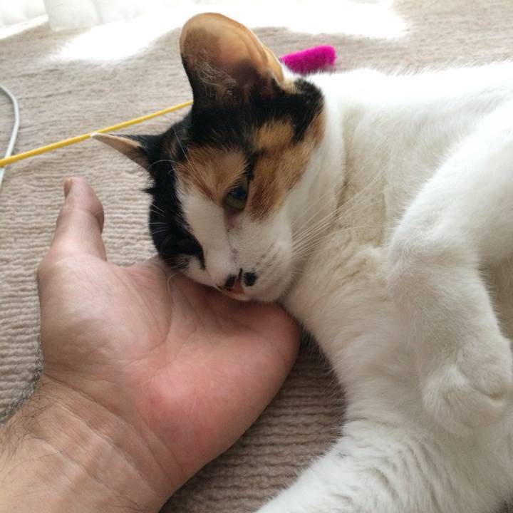 1f0ff47f 3f93 4667 a30f c999d1c890f5 1525736318195