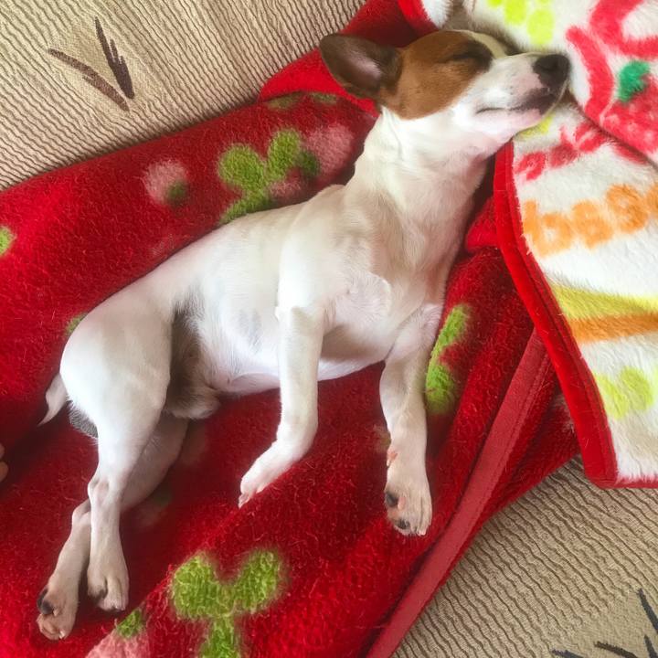 1f1014d3 6c5b 48d6 8d00 e4cca0bcffd8 1514995545319