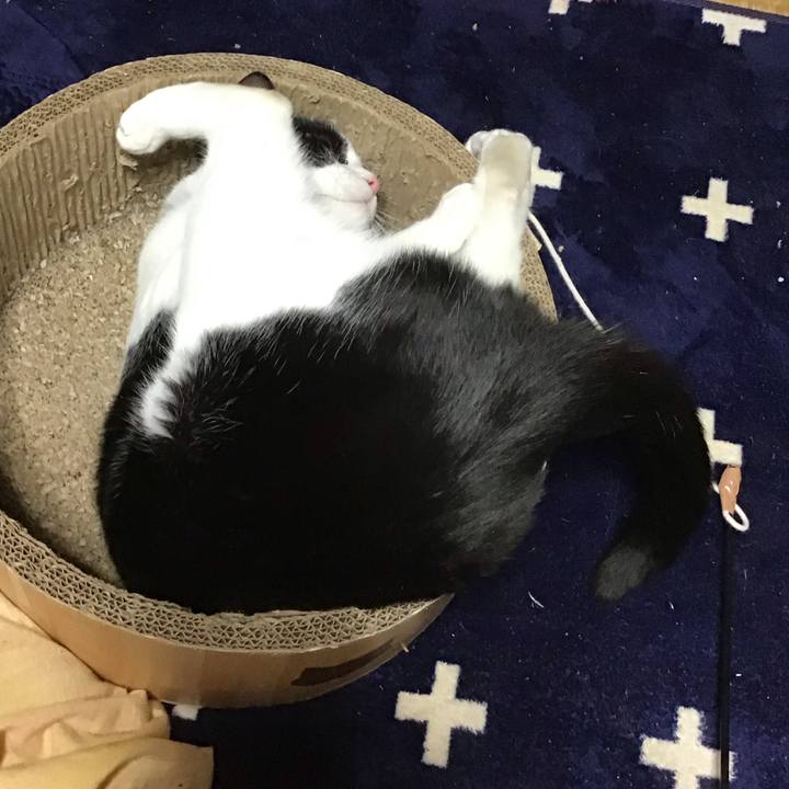 1f102ec4 d457 4044 ac5f 393f552b59a8 1736417919055