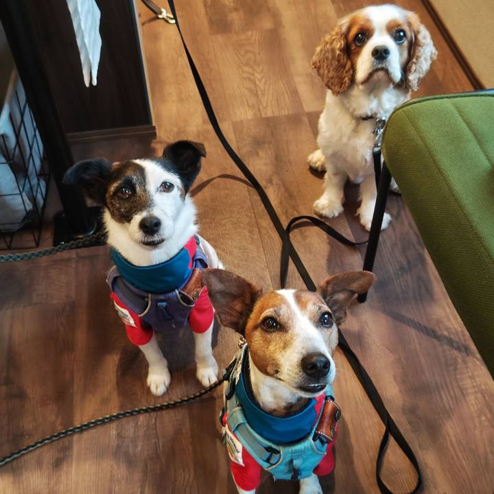 1f102f1b 591a 400d b10c cd20571df19a 1747477244441