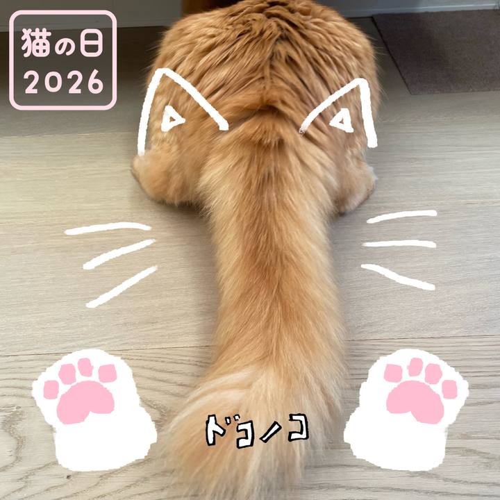 1f107314 8383 41d5 b64c 052c10408154 1771716001249