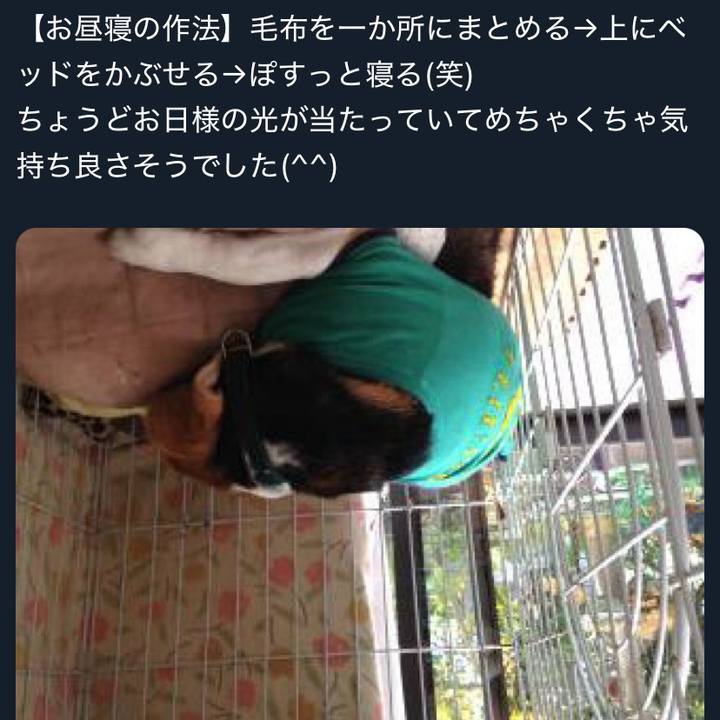 1f107760 53f4 4cf2 bba7 4893b0881147 1733265487835