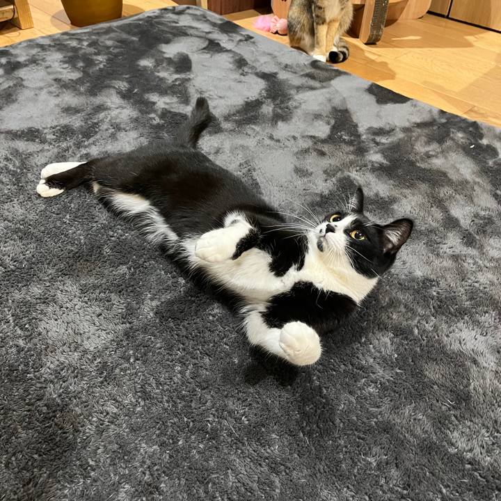 1f108a3b 0a7d 482c 972b d3e8842b9b73 1645452316376