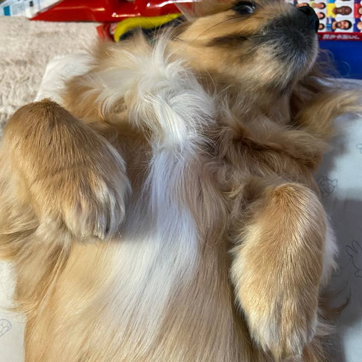 1f108fce c277 4d27 8478 b7b192302b67 1618262581807