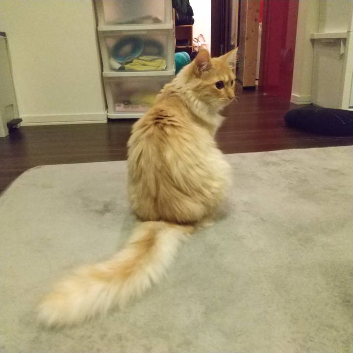 1f10956c 1249 4fe9 999b 310d8f7705fd 1623937357393