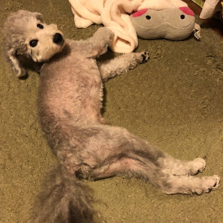 1f1097e2 96db 4280 ac74 4d509c405131 1535551894380