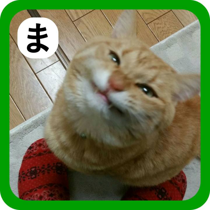 1f10a787 8377 4c8f 9b58 75bb89106c3a 1515138515499