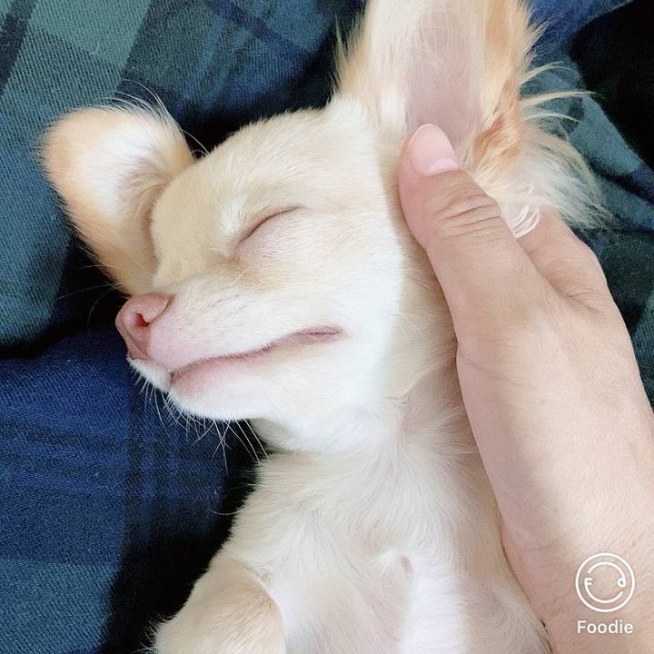 1f10c14c 7ef6 4a62 ba8b 0c71ca82290d 1597966279913