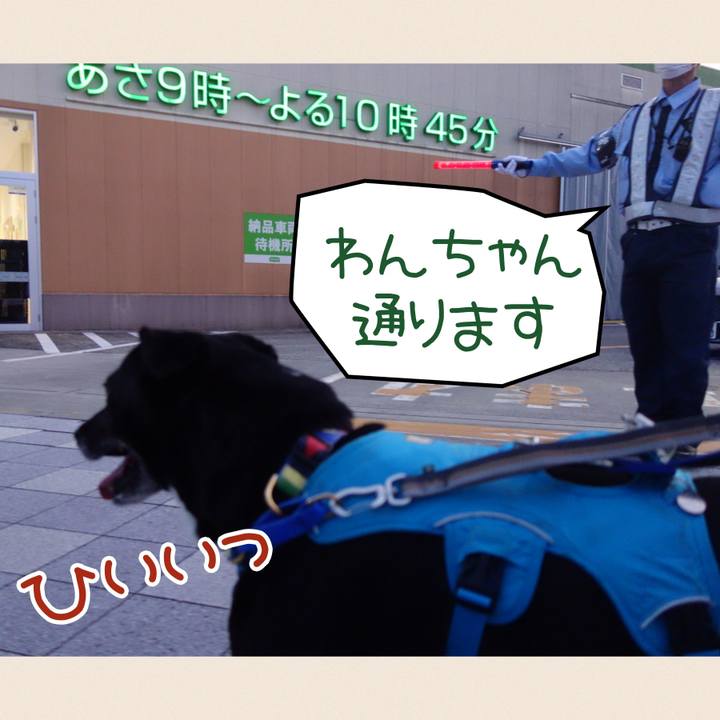 1f10c848 32eb 486e 9836 f9e7512ceea2 1688385670806