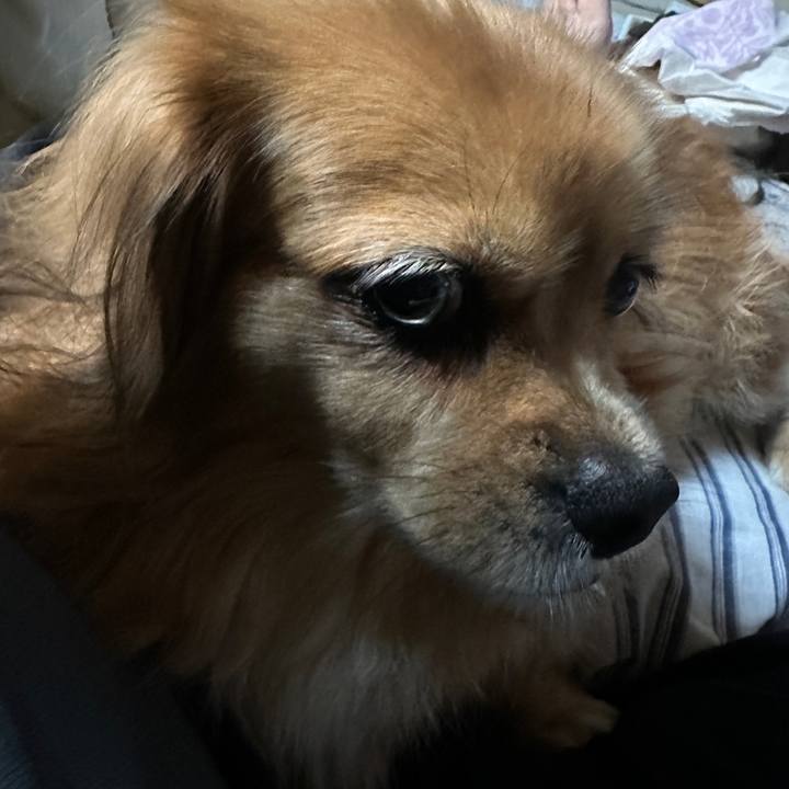 1f10e54c 268c 4440 99e1 491d1a63208b 1697055305270