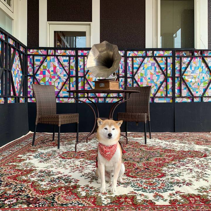 1f10e639 48d5 4604 a272 1fd4d44ee0ed 1685184438528