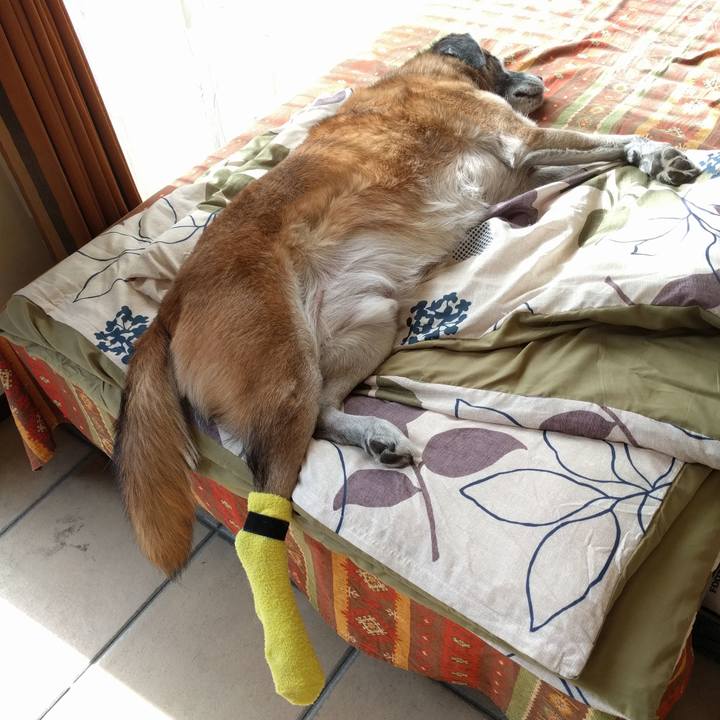 1f10ffb9 2e97 4254 8f26 cc9f850c030f 1543648400102