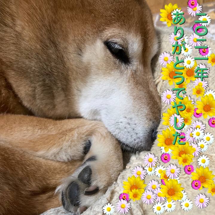 1f111388 d36b 4db0 8302 8337233aa187 1640927174538