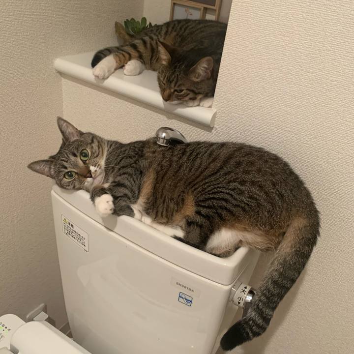 1f115f41 78fa 46b6 b88d 9000b789feb6 1626013859348