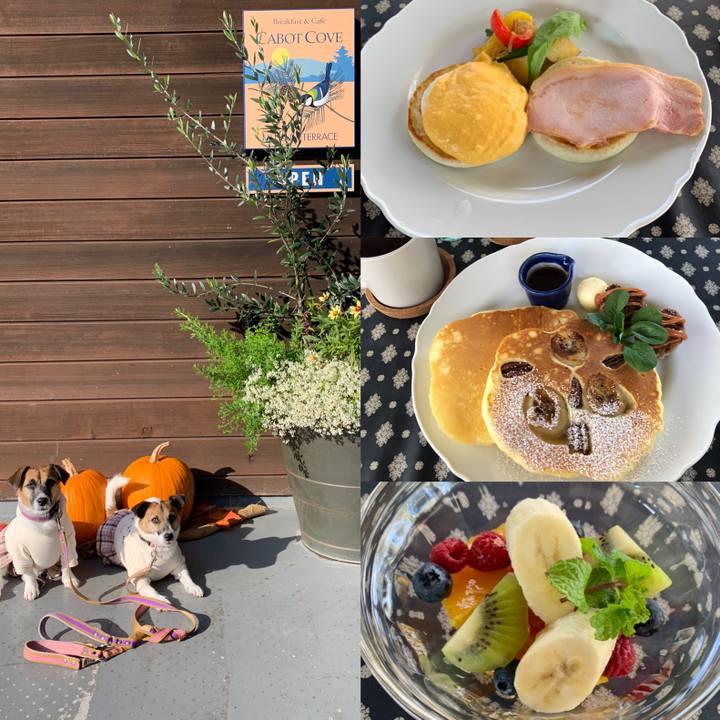 1f116333 a744 444d 8f0e 192e68d22287 1635908756808