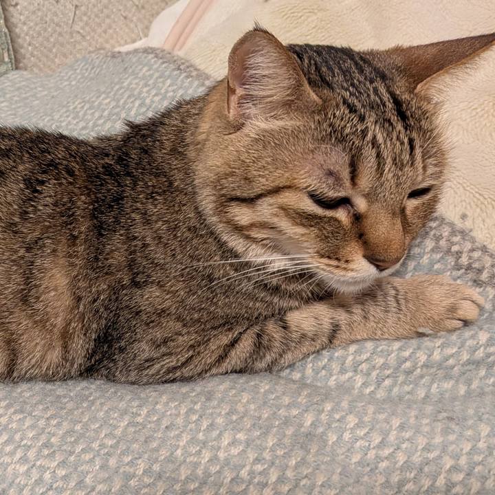 1f116eb7 7049 4d09 bc18 0980e5eaf65a 1773612457052