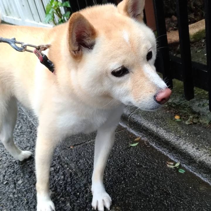 1f1186c2 ba9e 43ae 954c a2ef43610339 1600984516816