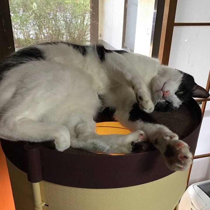 1f118a3e 2ec9 4ee6 a4d4 3650f25f26e6 1714814189596