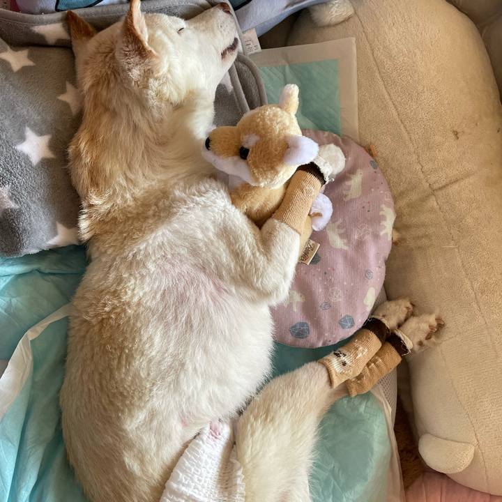 1f11c190 1d61 4aa6 aff0 bd80c5e970f6 1680139466742